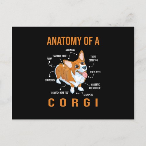 Anatomy of a Corgi Funny Dog Announcement Postcard