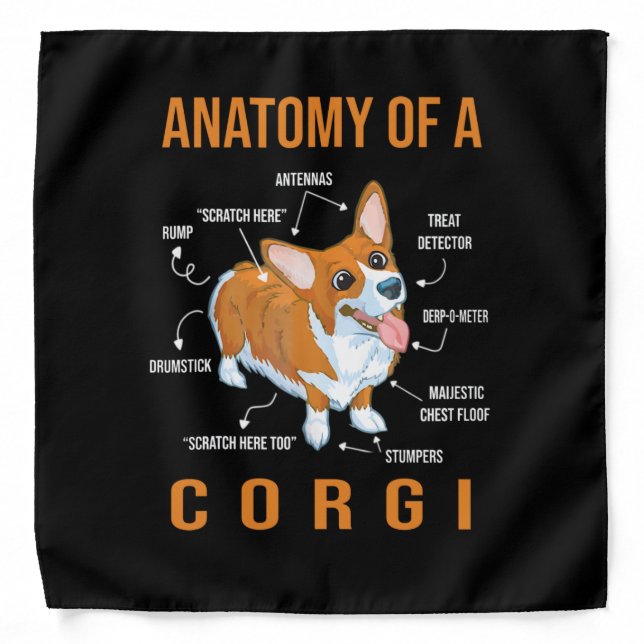 Anatomy of a Corgi Funny Dog Bandana (Front)