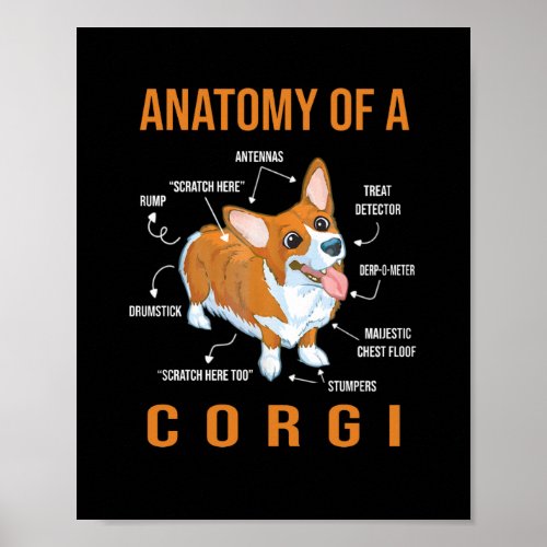 Anatomy of a Corgi Funny Dog Poster