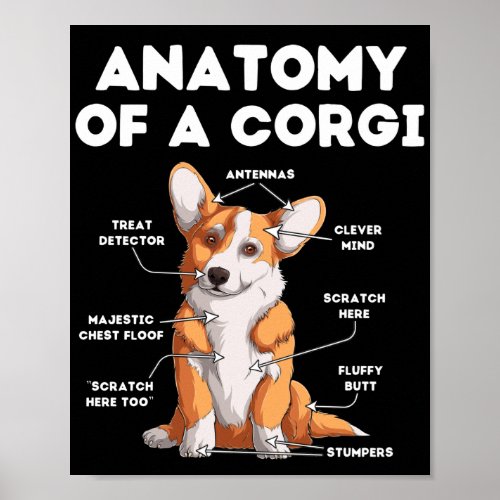 Anatomy of a Corgi Poster