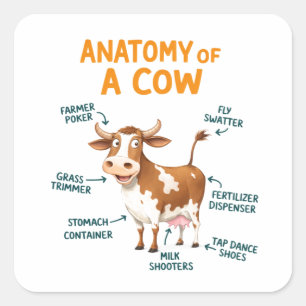 Anatomy of a Cow Funny Doctor Day Square Sticker