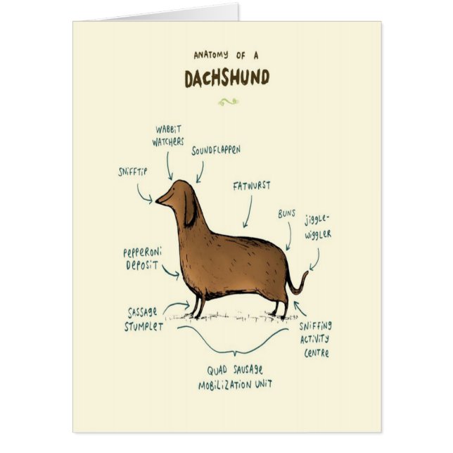 Anatomy Of A Dachshund | Dachshund Dog Lovers Card (Front)