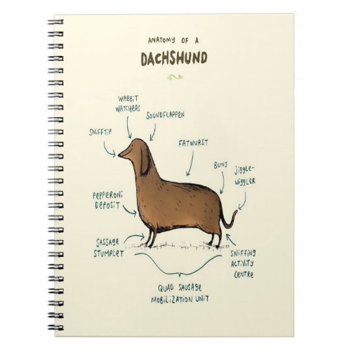 Anatomy Of A Dachshund  Dachshund Dog Lovers Notebook