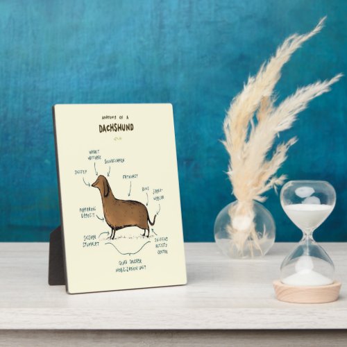 Anatomy Of A Dachshund  Dachshund Dog Lovers Plaque