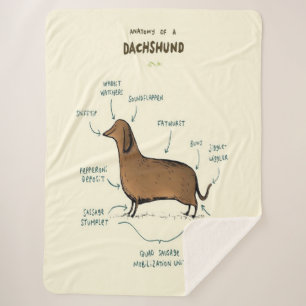 Anatomy Of A Dachshund   Dachshund Dog Lovers Sherpa Blanket