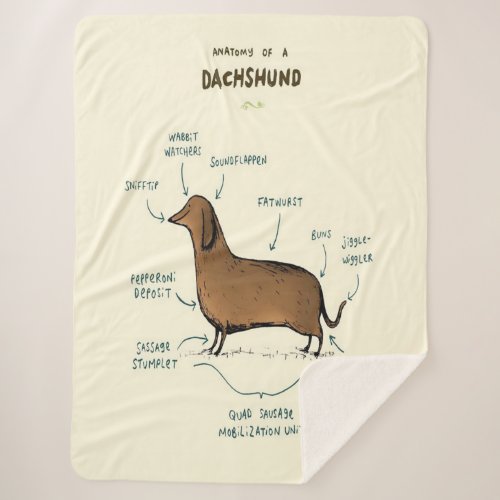 Anatomy Of A Dachshund  Dachshund Dog Lovers Sherpa Blanket