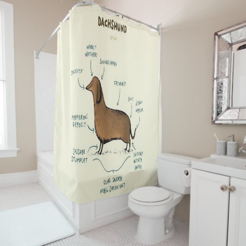 Anatomy Of A Dachshund  Dachshund Dog Lovers Shower Curtain