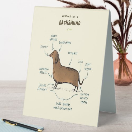 Anatomy Of A Dachshund  Dachshund Dog Lovers Table Tent Sign