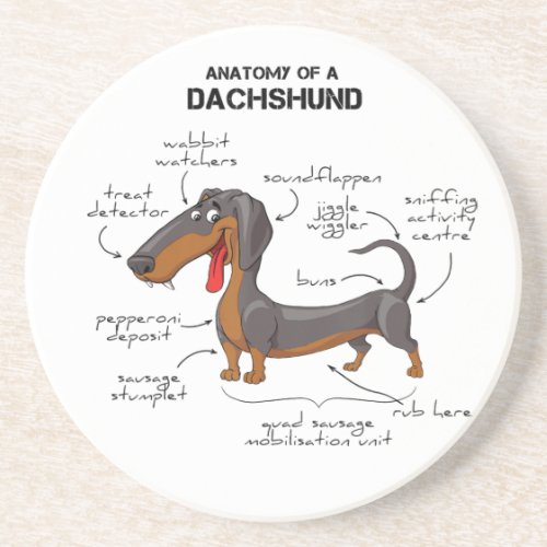 Anatomy Of A Dachshund _ Funny Dog Coaster
