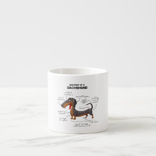 Anatomy Of A Dachshund _ Funny Dog Espresso Cup