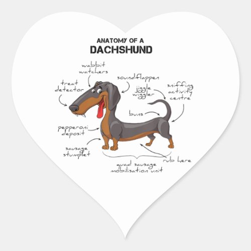 Anatomy Of A Dachshund _ Funny Dog Heart Sticker
