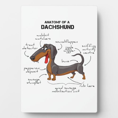 Anatomy Of A Dachshund _ Funny Dog Plaque