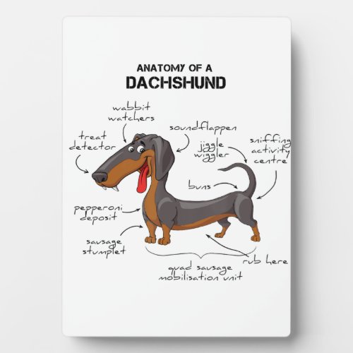 Anatomy Of A Dachshund _ Funny Dog Plaque