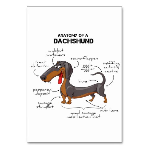 Anatomy Of A Dachshund _ Funny Dog Table Number