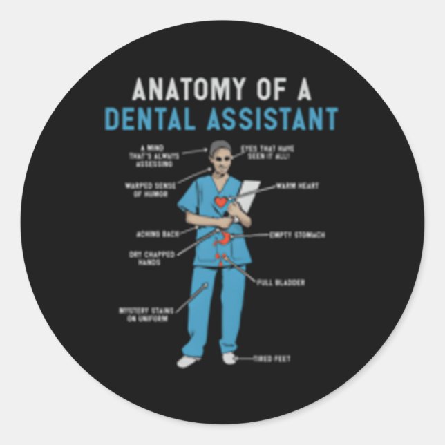 Anatomy Of A Dental Assistant Classic Round Sticker (Front)