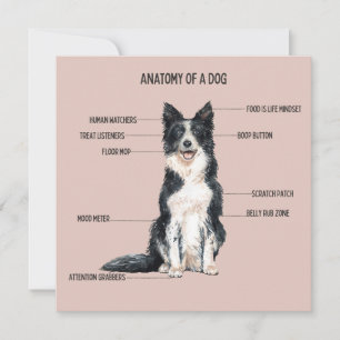 Anatomy of a Dog Card
