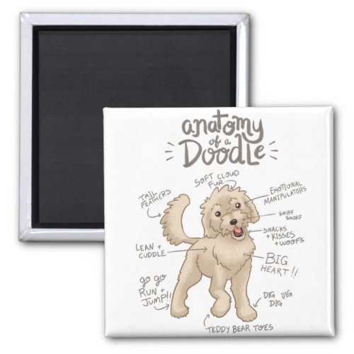 Anatomy of a Doodle Dog Magnet