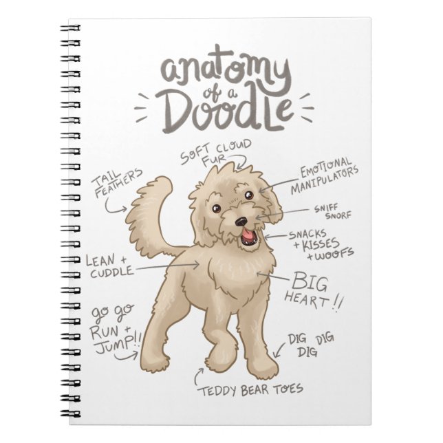 Anatomy of a Doodle Dog Notebook (Front)
