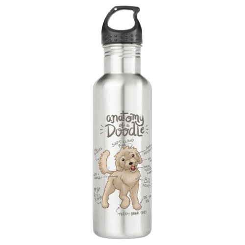 Anatomy of a Doodle Dog Stainless Steel Water Bottle