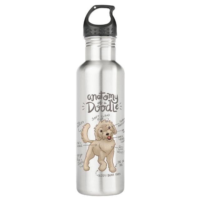 Anatomy of a Doodle Dog Stainless Steel Water Bottle (Front)