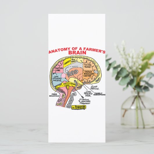 ANATOMY OF A FARMER'S BRAIN (Standing Front)