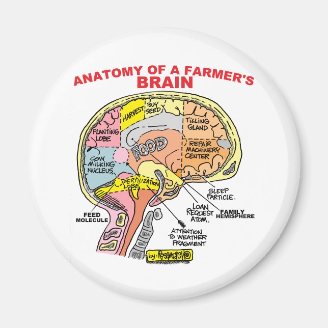 ANATOMY OF A FARMER'S BRAIN MAGNET (Front)