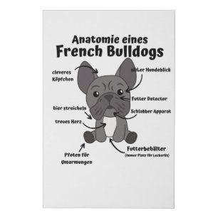 Anatomy Of A French Bulldog Dogs Funny Puppy Faux Canvas Print