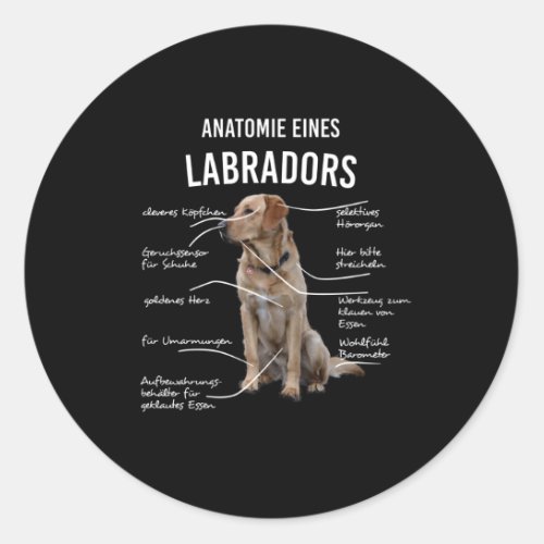 Anatomy Of A Funny Labrador Retriever Dog Classic Round Sticker