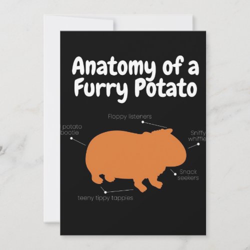 Anatomy Of A Furry Potato  Cute Guinea Pig Announcement