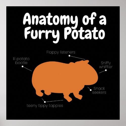 Anatomy Of A Furry Potato  Cute Guinea Pig Poster