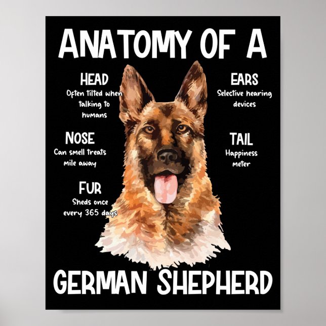 Anatomy Of A German Shepherd For Dog Lovers Poster (Front)