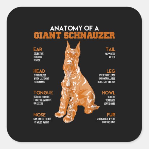 Anatomy Of A Giant Schnauzer Dogs Funny Gift Square Sticker