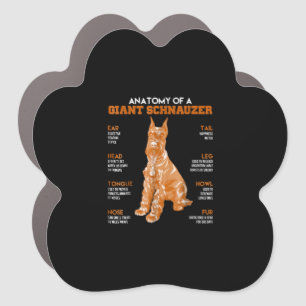 Anatomy of a giant schnauzer dogs t funny gift car magnet