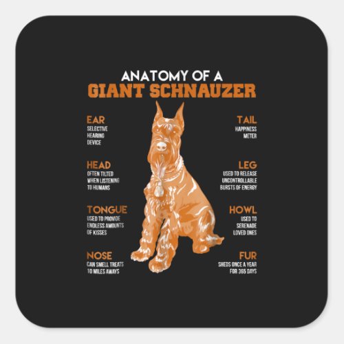 Anatomy of a giant schnauzer dogs t  funny gift square sticker