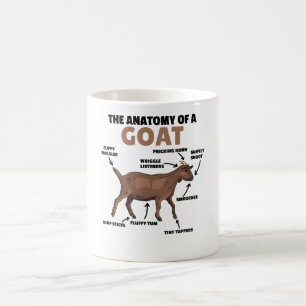 Anatomy Of A Goat Cute Goats Explanation Coffee Mug