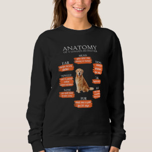 Anatomy Of A Golden Retriever Funny Anatomy Retro Sweatshirt
