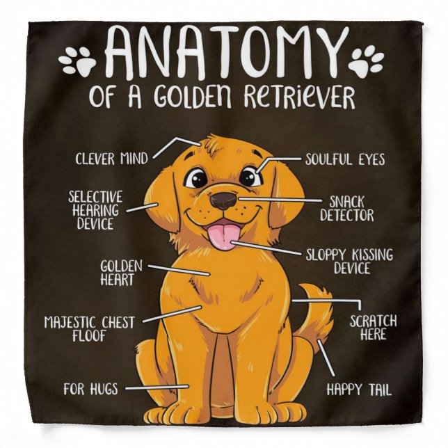 Anatomy Of a Golden Retriever Funny Gift Bandana (Front)