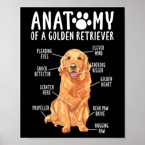 Anatomy of a Golden Retriever Mom Dad Poster
