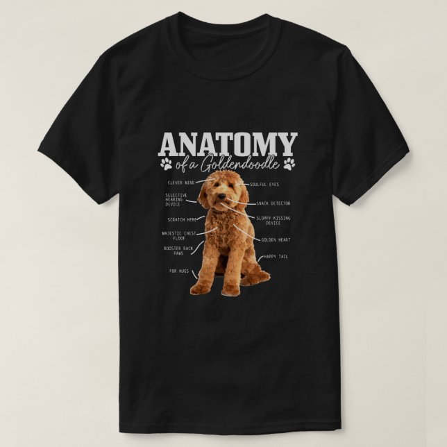 Anatomy Of A Goldendoodle Funny Cute Dog Doodle Mo T-Shirt (Design Front)