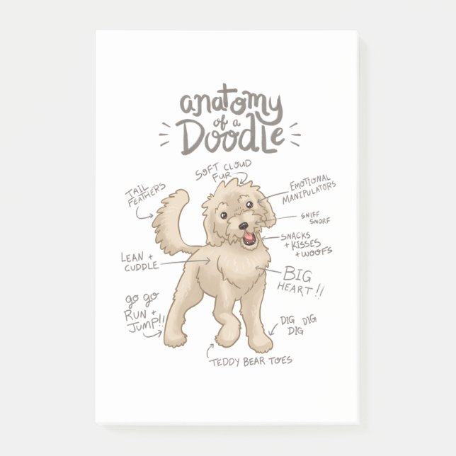 Anatomy of a Goldendoodle Post-it Notes (Front)