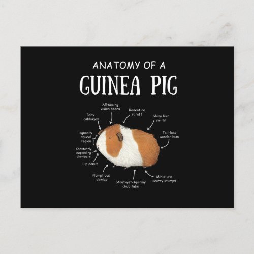 Anatomy Of A Guinea Pig Announcement Postcard