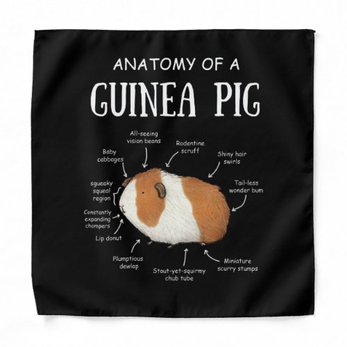 Anatomy Of A Guinea Pig Bandana