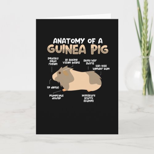 Anatomy of a Guinea Pig Card