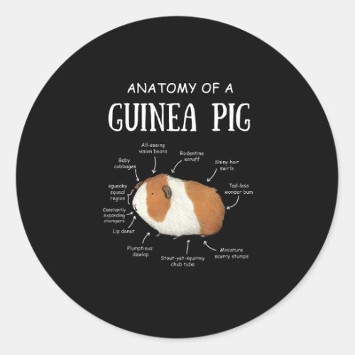 Anatomy Of A Guinea Pig Classic Round Sticker