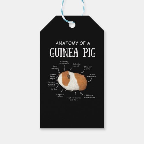 Anatomy Of A Guinea Pig Gift Tags