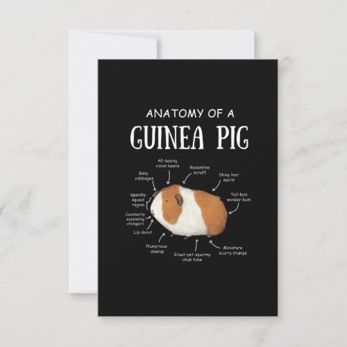 Anatomy Of A Guinea Pig Save The Date