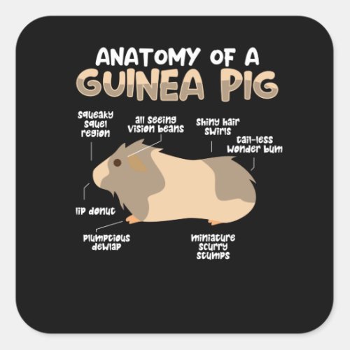 Anatomy of a Guinea Pig Square Sticker