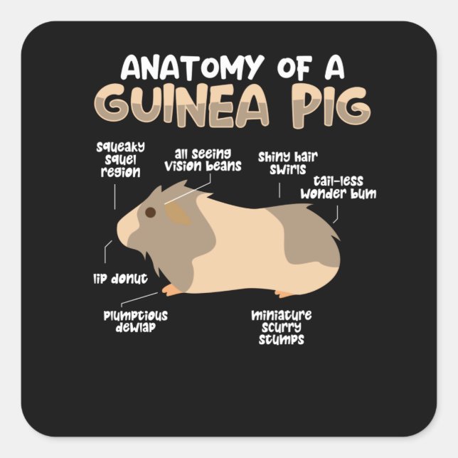 Anatomy of a Guinea Pig Square Sticker (Front)