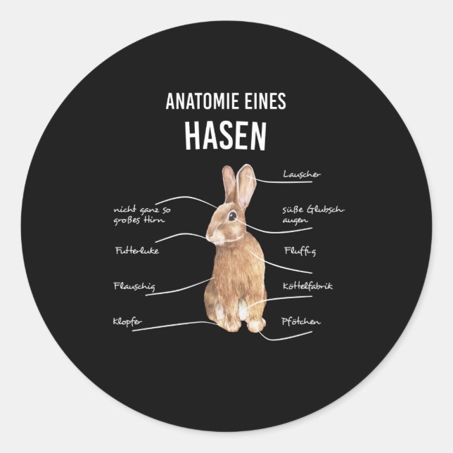 Anatomy Of A Hare Rabbit Bunny Rabbit Classic Round Sticker (Front)