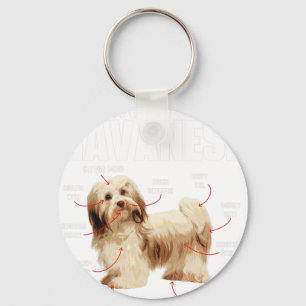 Anatomy Of A Havanese - Cuban Havaneser Havanezer  Keychain